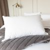 Hotel Suite Goose Down Pillow